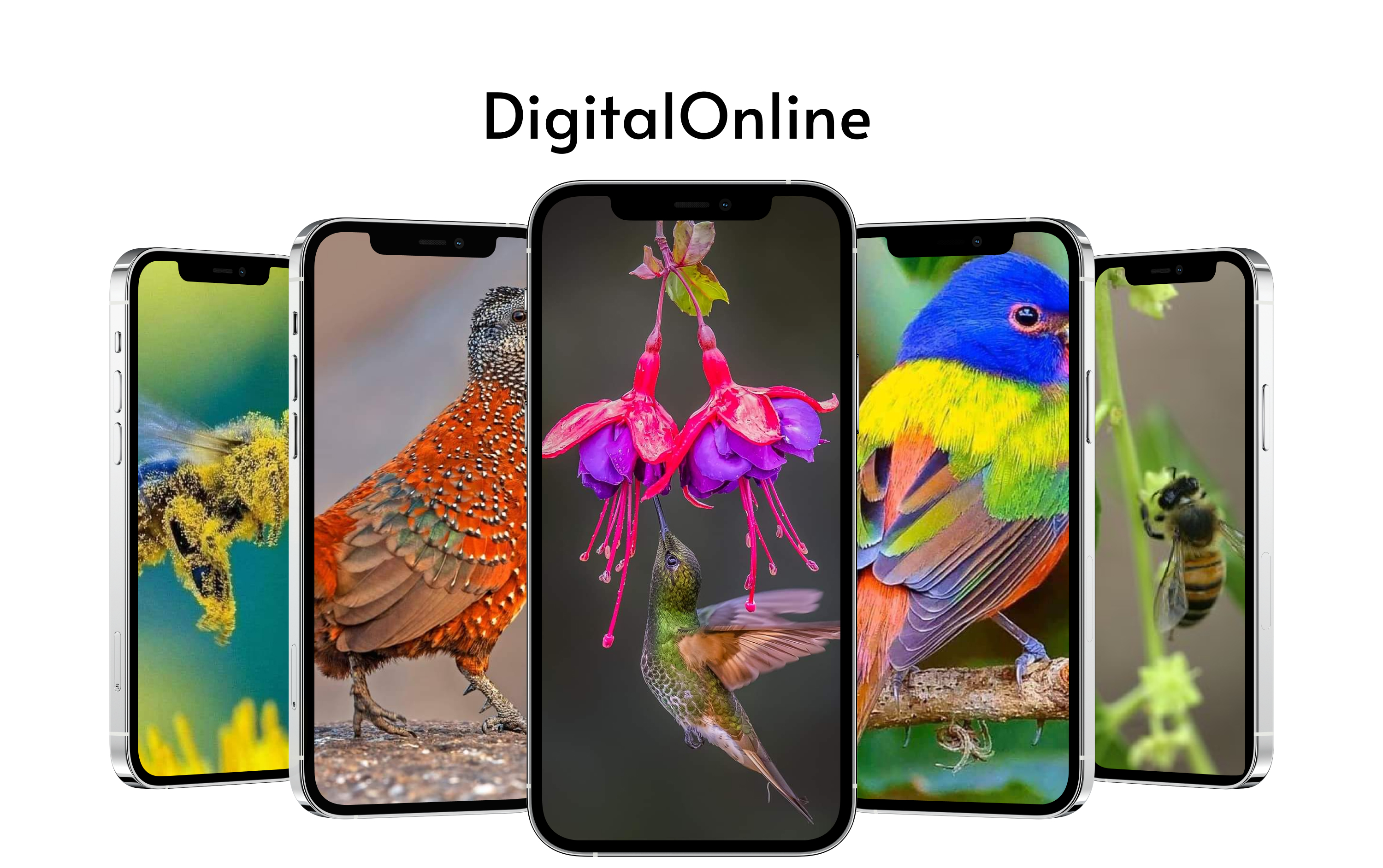 design-image1